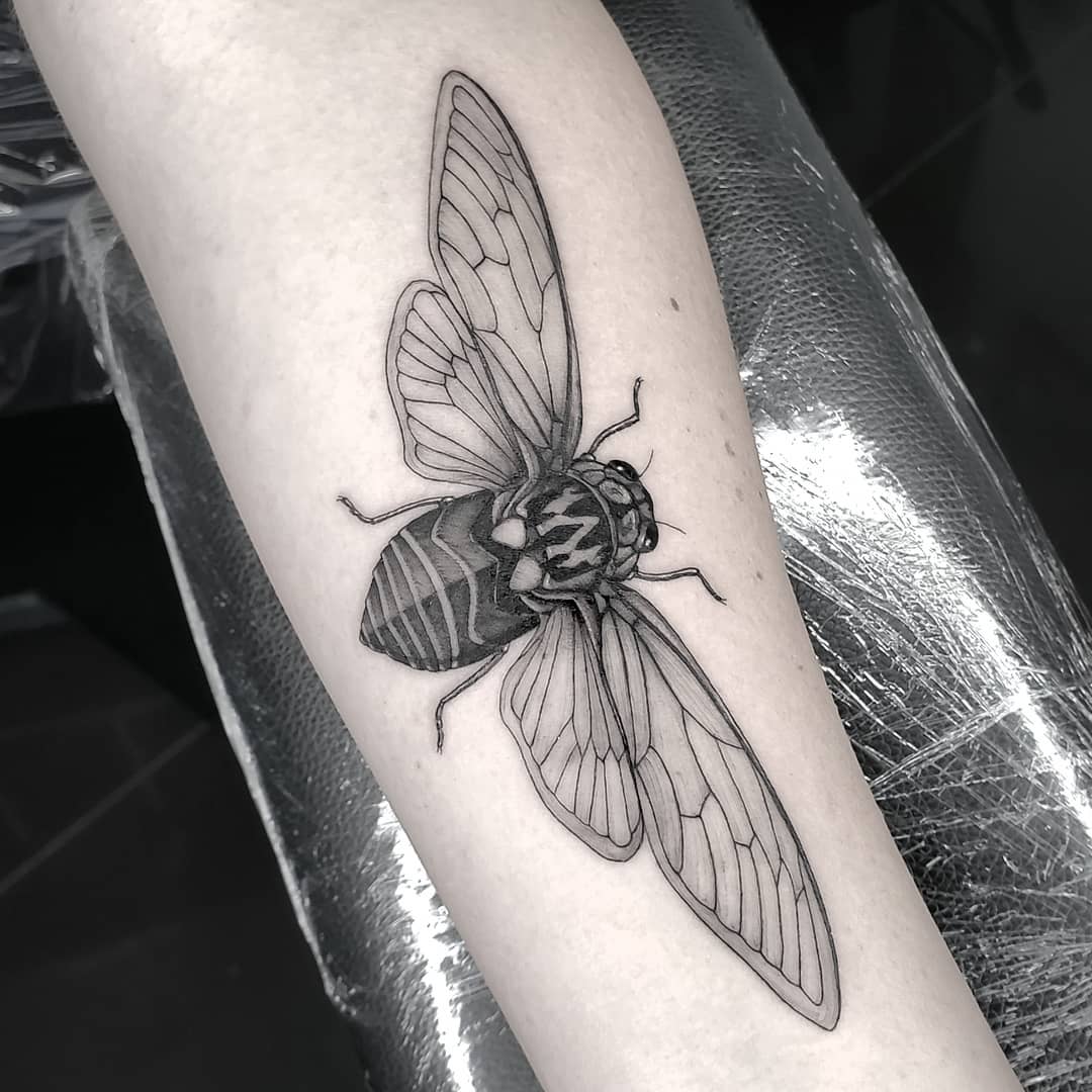 মারিও হিগা20191018-1